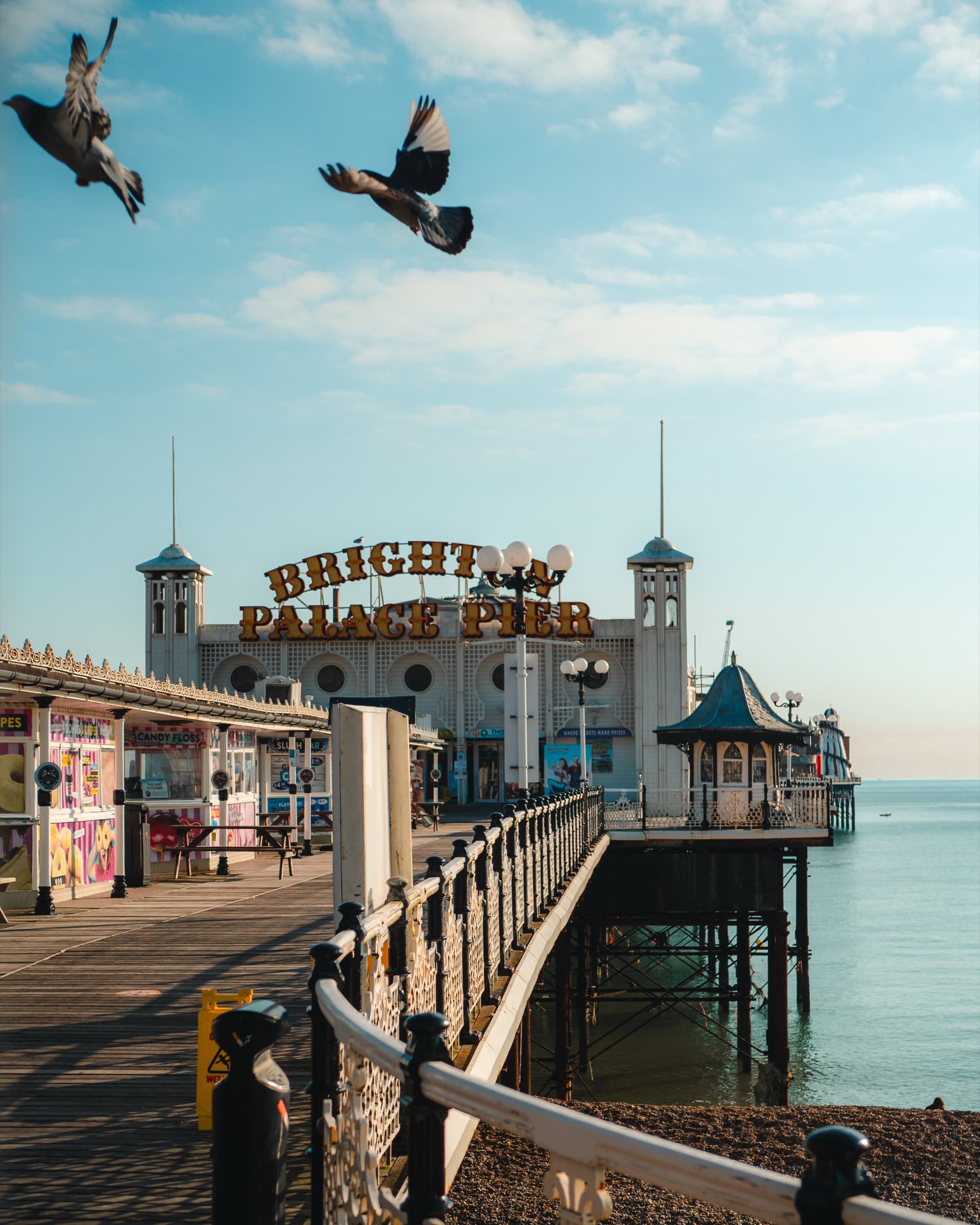 Gulls over the Palace Pier, edited with the Made in Brighton pack